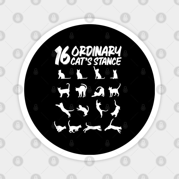 16 positions of a cat - funny tee cats Magnet by Pannolinno